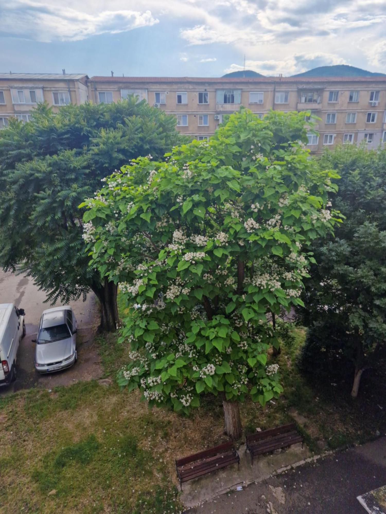 Апартаменты Apartament Central Дева Экстерьер фото